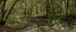 Keltské oppidum v Třísově