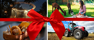 Zážitky pod stromeček - celkový přehled