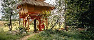 Treehouse Česká Kanada
