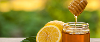 Kvalitní med a prosklený úl v Planerově Dvoře