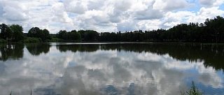 Rybník Linda u Borovan