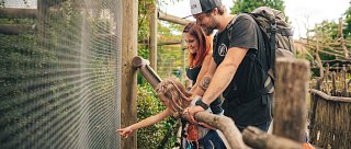 Ostern im Zoo von Hluboká nad Vltavou