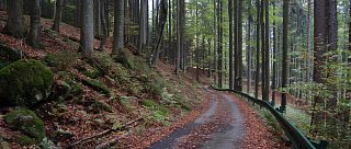 Naučná stezka Hojnovodský prales