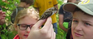 Ptačí otvírání v muzeu Semenec
