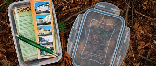 Geocaching na Novohradsku - Pašerácká trasa