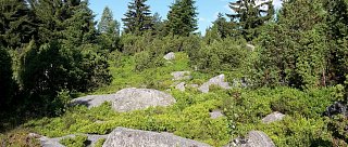 Přírodní rezervace Hadí vrch