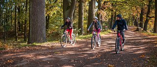 Lišovská cyklistická trasa