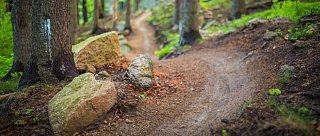 Singltrek Prachatice