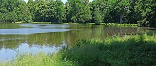 Rybník Bažantník u Nových Hradů