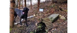 Studánka U Závišínského potoku