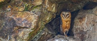 Stanice pro handicapovaná zvířata Klášterec u Vimperka