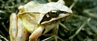 Vidov - Naučná stezka "Krajinou proměn"