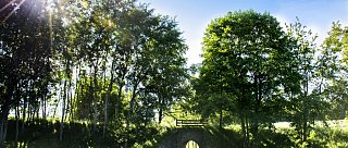 Naučná stezka Koňská dráha