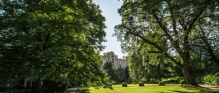 Toulky zámeckým parkem Hluboká nad Vltavou