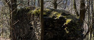 Zřícenina hradu Křikava