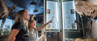 Nejlepší výstava České republiky