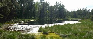 Naučná stezka Červené Blato