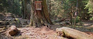 Z Lišova za Janem Žižkou z Trocnova