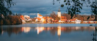 Netolice - město koní