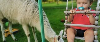 Lamatrekking na Shoně