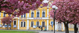 Veselí nad Lužnicí - obřadní síň