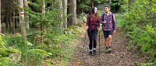 Nordic walking Vimperk