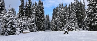 Vyhlídka Nad Prameny Vltavy