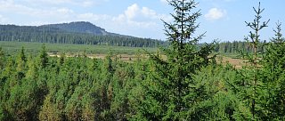 Jezerní slať - mototip