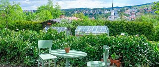 Škola přírodních terapií Kouzelné bylinky: Moudrost přírody