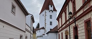 Film Nilin sen o životě v rajské zahradě RABENŠTEJNSKÁ