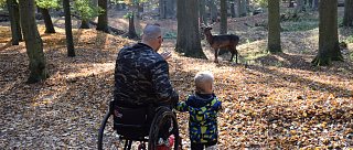 Blatná - zámecký park