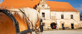 Slavnosti jara na Panství Bzí