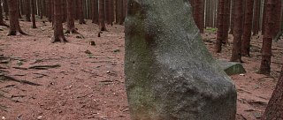 Měsíční kámen – mystický strážce Javornických lesů