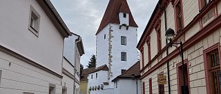 Havraní salon 2025 - vernisáž