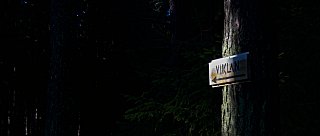 Bývalý viklan Trkal