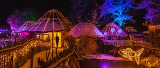 VÁNOČNĚ NASVÍCENÁ ZOO