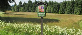 Národní park Šumava