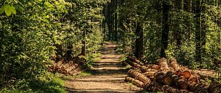 Informační centrum Bavorský les