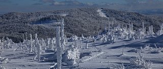 Plechý a Plešné jezero