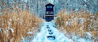 Vyhlídková věž Řežabinec