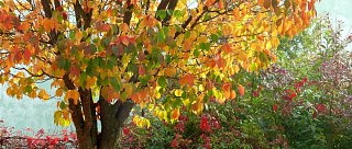 Výstava BOHUSLAVA MAŘÍKOVÁ – Krása okamžiku