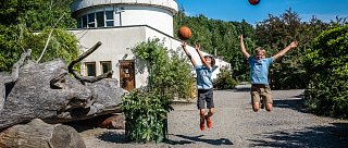 Kaninchenpfad durch Semenec