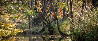 01 - Z Jindřichova Hradce do Malého Ratmírova