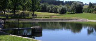 Koupaliště Chlumany