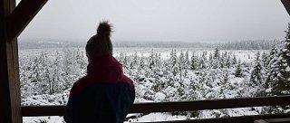 Vyhlídková věž Jezerní Slať u Kvildy