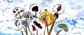 Křišťálová lízátka ze Žárovné