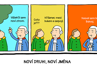 Jan Nepomuk Buquoy (1741–1803)