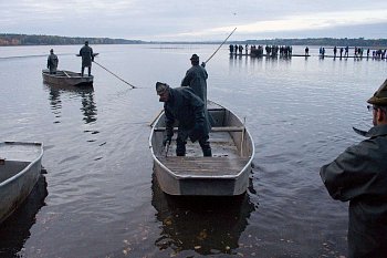 Výlov rybníka Rožmberk