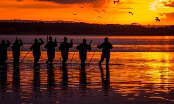 Výlov rybníka Horusický