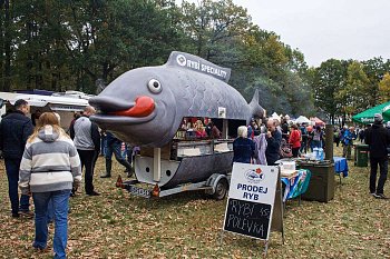 Výlov rybníka Rožmberk